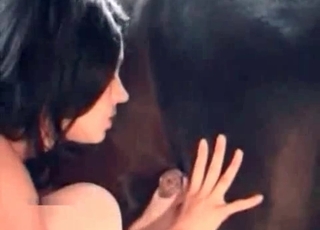Black pony receives a blowjob