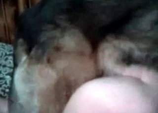 Shepherd drills a juicy pussy