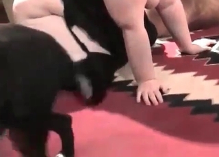 Fat zoophile bangs in the zoo porn