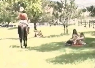 Two zoophiles and stallion